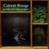 Cobweb Strange Sounds From the Gathering album cover