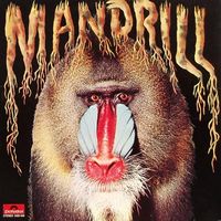 Mandrill Mandrill album cover