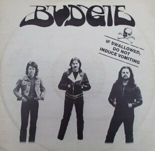 Budgie If Swallowed Do Not Induce Vomiting album cover