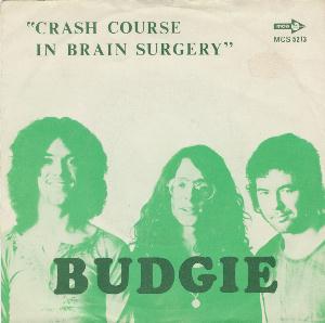 Budgie Crash Course in Brain Surgery album cover