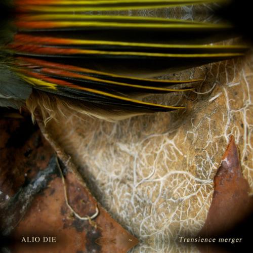 Alio Die Transience Merger album cover