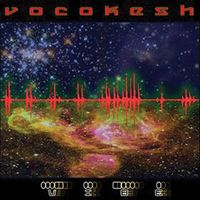 The Vocokesh Vibe album cover