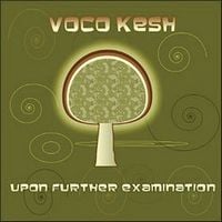 The Vocokesh - Upon Further Examination CD (album) cover