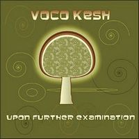 The Vocokesh - Upon Further Examination CD (album) cover