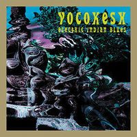 The Vocokesh - Electric Indian Blues CD (album) cover