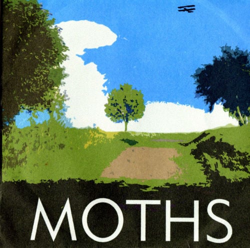 Moths Moths album cover