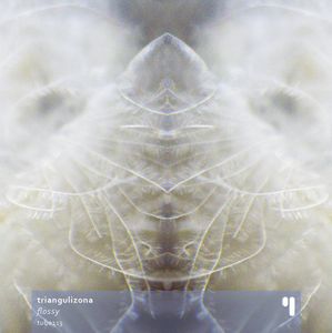 TrianguliZona - Flossy CD (album) cover
