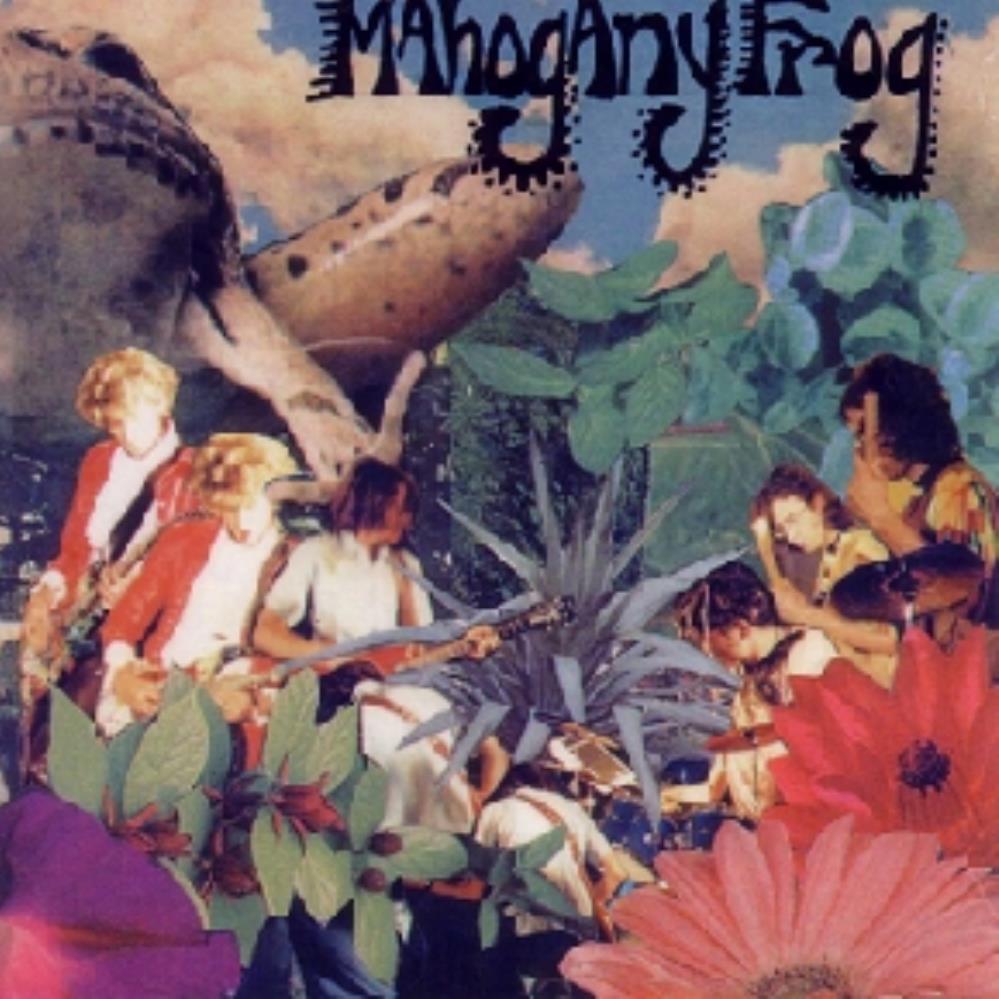 Mahogany Frog Plays the Blues album cover