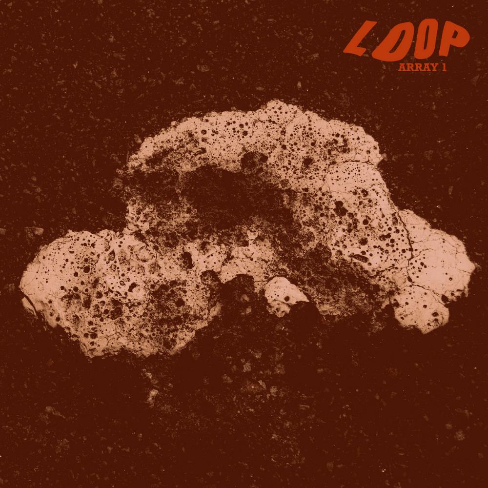 Loop Array 1 album cover