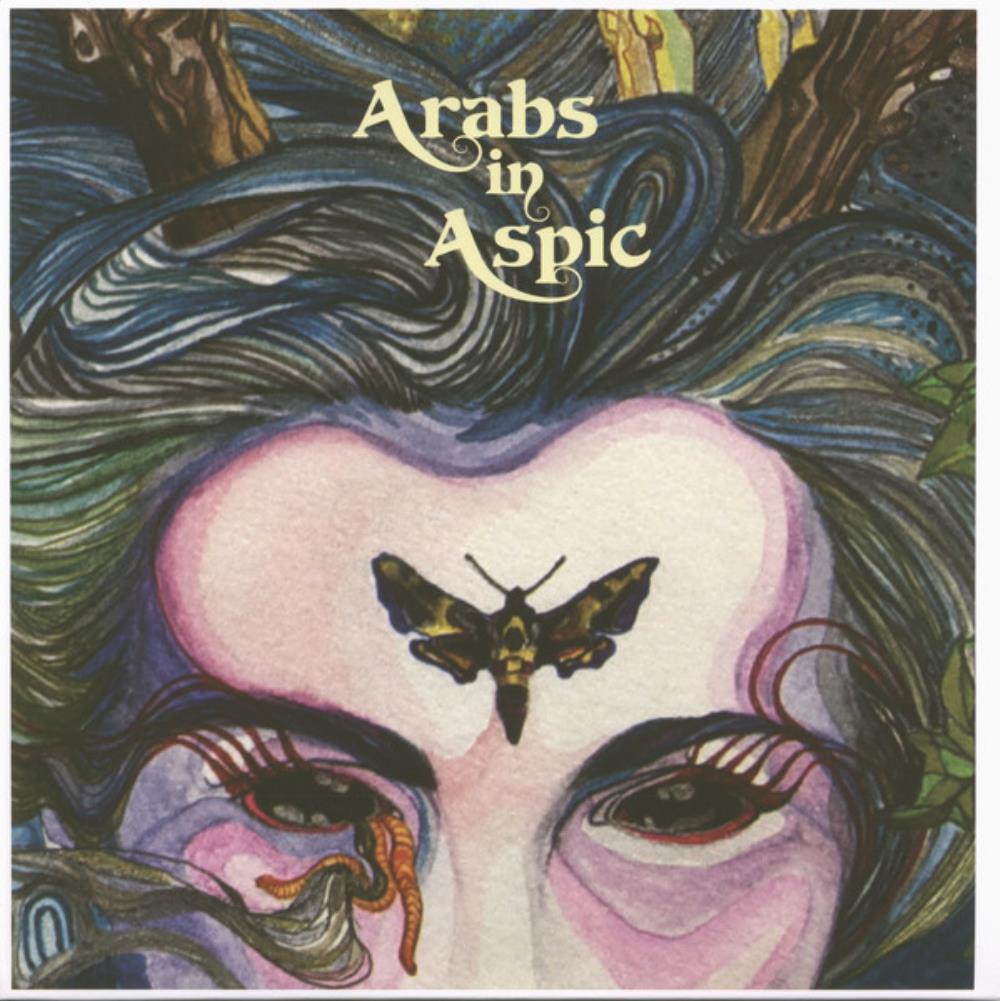 Arabs In Aspic - Prevail to Fail / Pictures in a Dream CD (album) cover