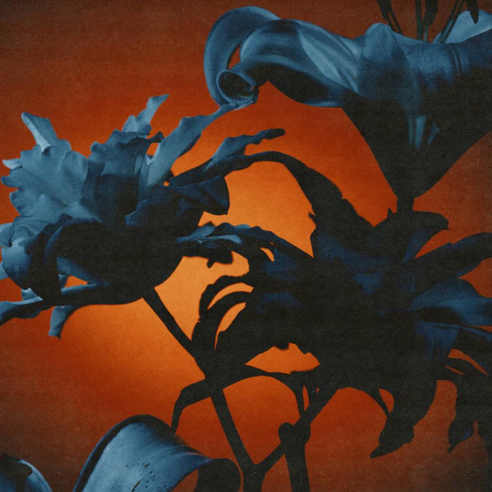 Tides From Nebula Instant Rewards album cover