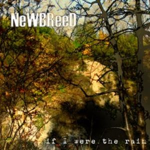 NeWBReeD - If I Were The Rain CD (album) cover