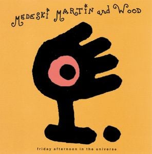 Medeski  Martin & Wood Friday Afternoon in the Universe album cover