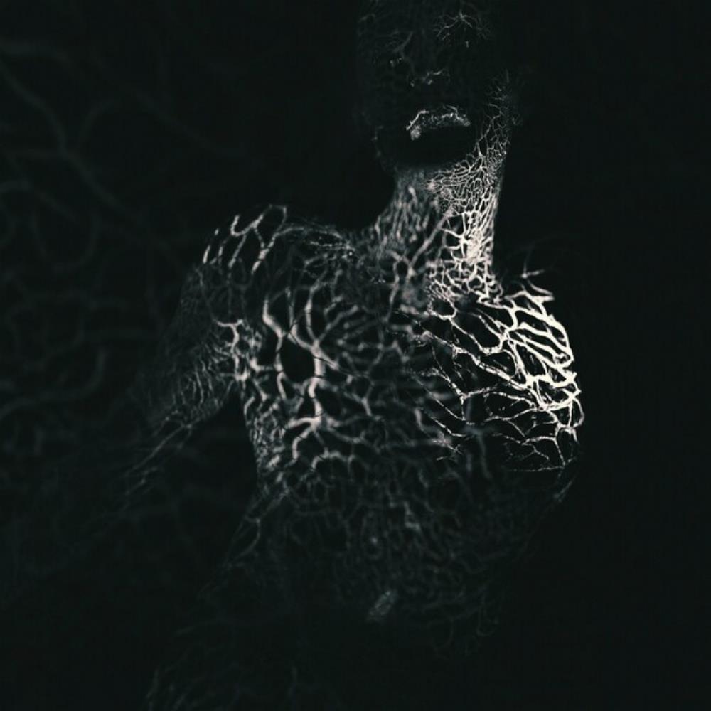 Ulcerate To Flow Through Ashen Hearts album cover