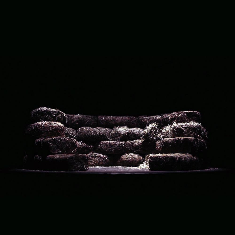 Amenra De Messe / De Metanoia album cover