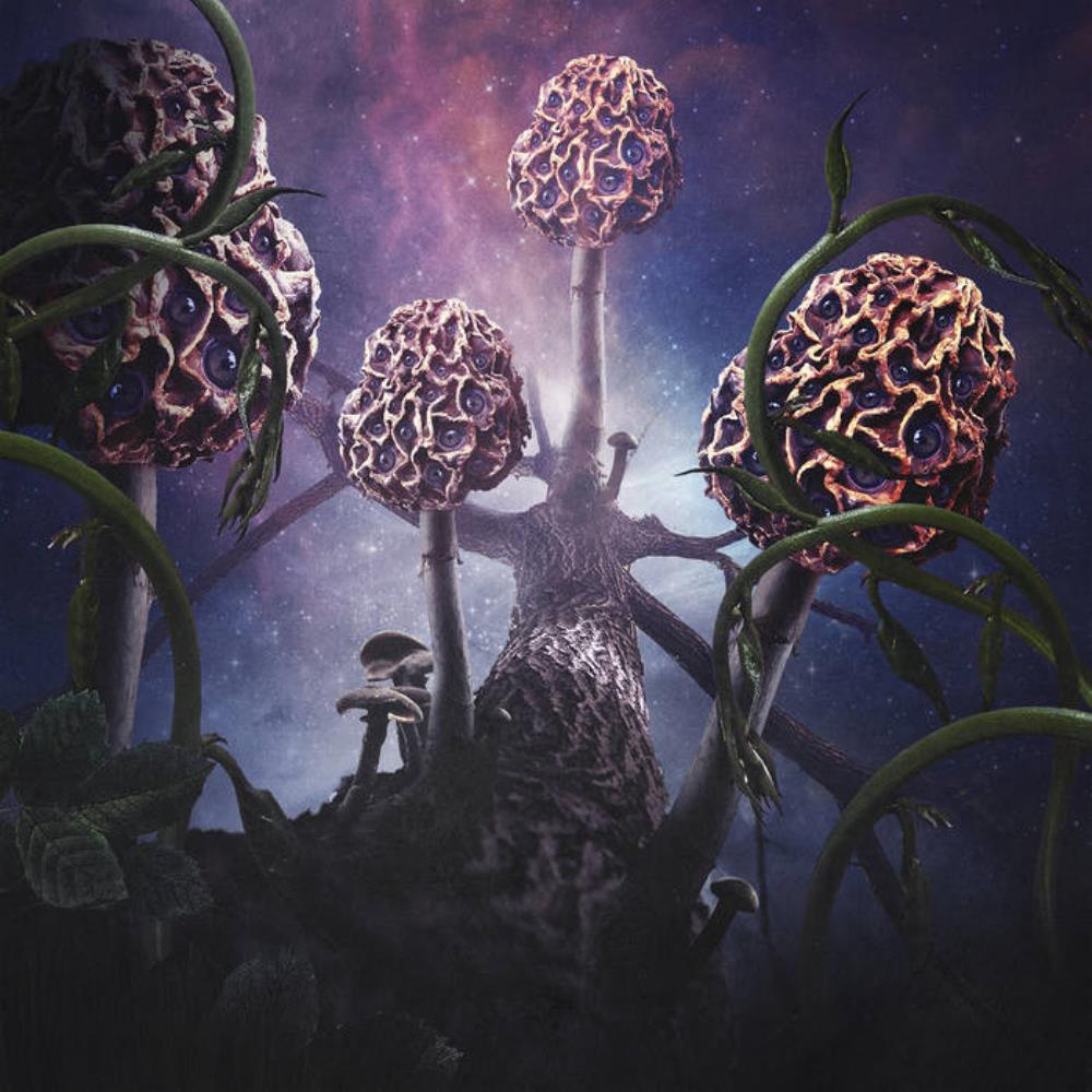  Hallucinogen by BLUT AUS NORD album cover