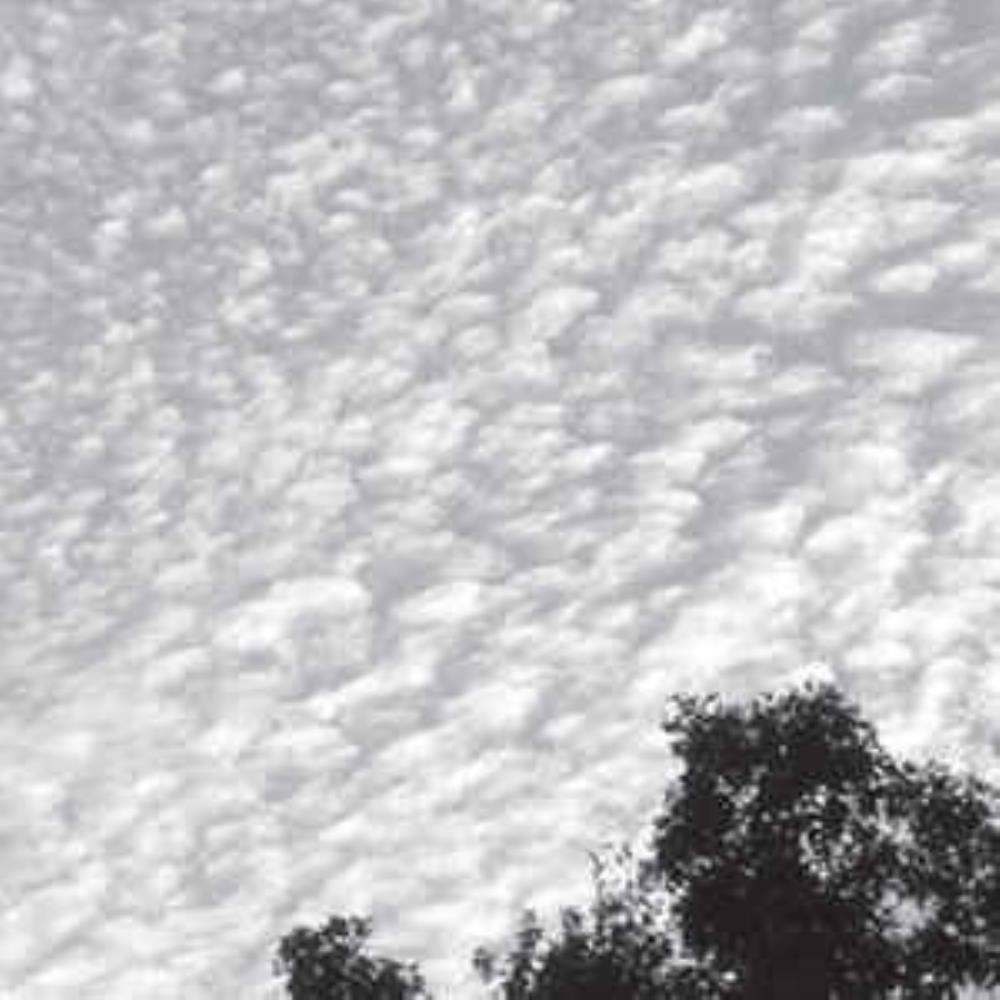 Apse Cloud album cover