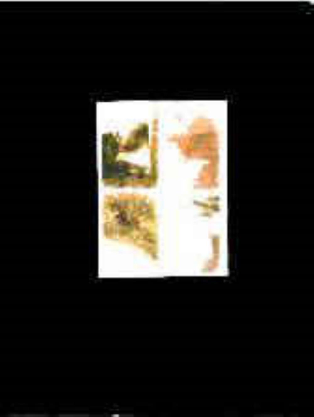 Apse - Untitled CD (album) cover