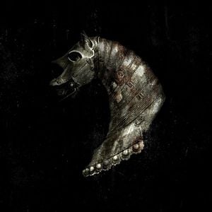 Black Math Horseman - Wyllt CD (album) cover