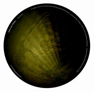 Enochian Theory - Namyamka CD (album) cover