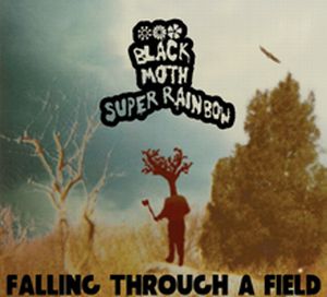 Black Moth Super Rainbow Falling Through a Field album cover