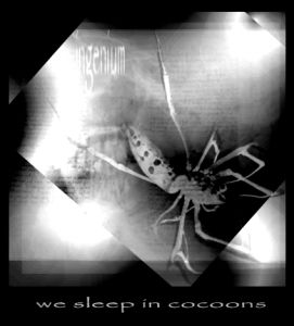 Ingenium - We Sleep in Cocoons CD (album) cover