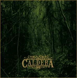 Caldera Mist Through Your Consciousness album cover