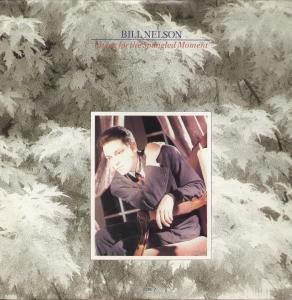 Bill Nelson - Living for the Spangled Moment CD (album) cover