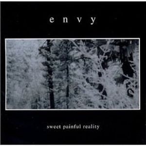 Envinity Sweet Painful Reality album cover