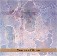 Masada - Masada Anniversary Edition Vol. 2: Voices in the Wilderness CD (album) cover