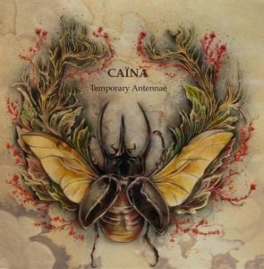 Cana - Temporary Antennae CD (album) cover