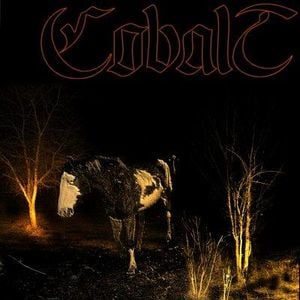  War Metal by COBALT album cover