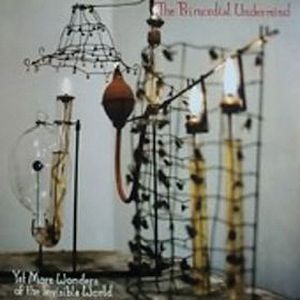 Primordial Undermind - Yet More Wonders Of The Invisible World CD (album) cover