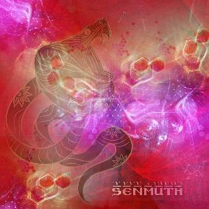 Senmuth - 111 111 111 x 111 111 111 CD (album) cover