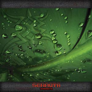 Senmuth - so(znanye)bitya CD (album) cover