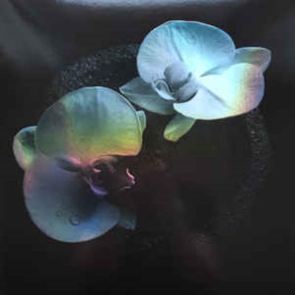 Jean-Claude Vannier - Coprse Flower by Mike Patton and Jean-Claude Vannier CD (album) cover