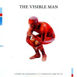 David Byrne The Visible Man album cover