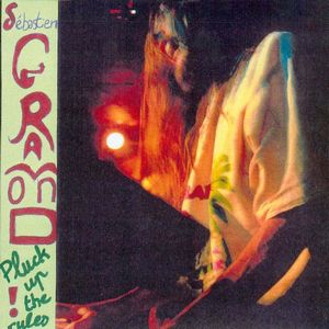 Sbastien Gramond - Pluck Up The Rules CD (album) cover