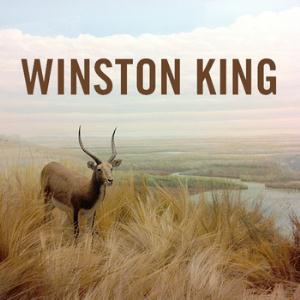 Madame Blavatsky Overdrive - Winston King CD (album) cover