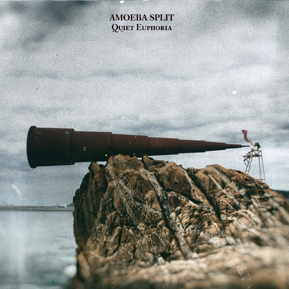  Quiet Euphoria by AMOEBA SPLIT album cover