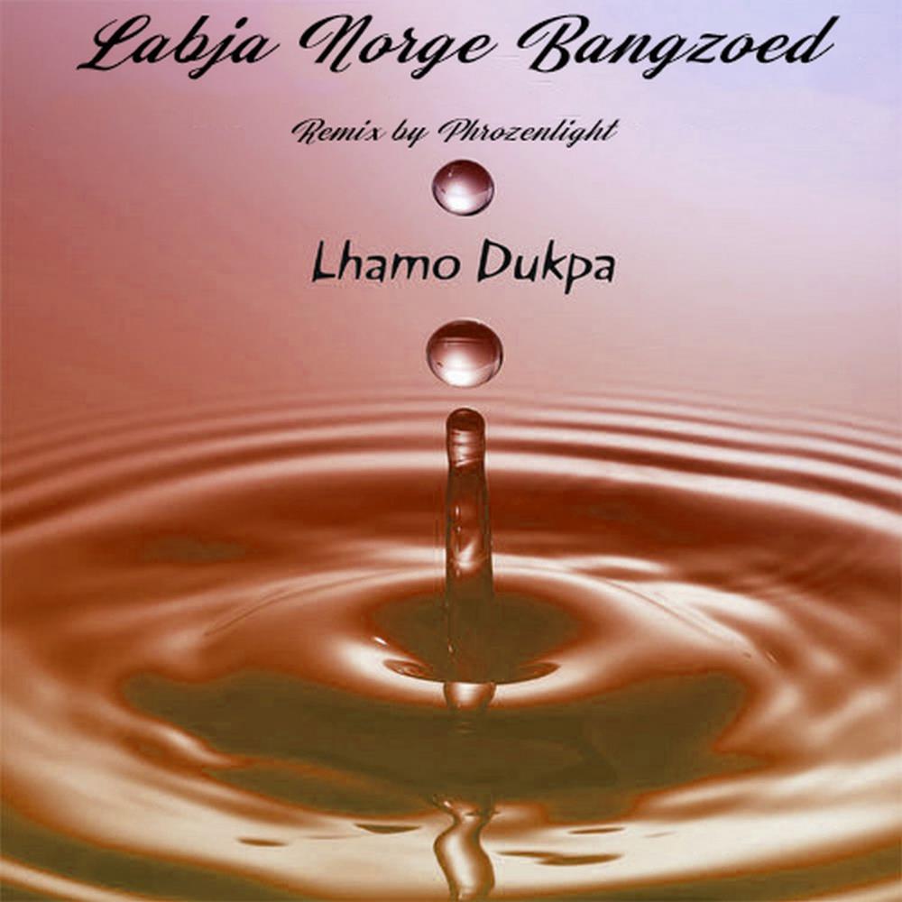 Phrozenlight Lhamo Dukpa & Phrozenlight: Labja Norge Bangzoed (remix) album cover