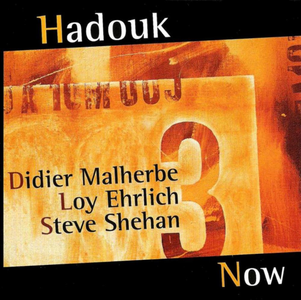 Didier Malherbe Hadouk Trio: Now album cover