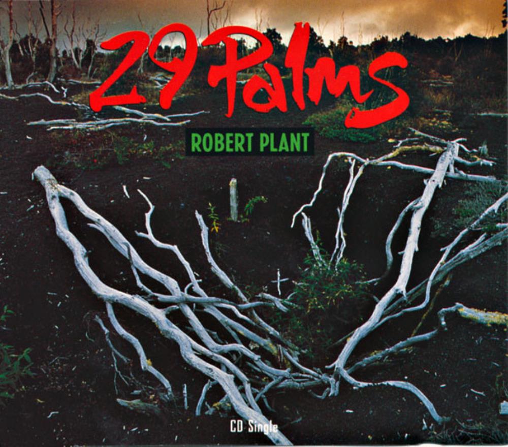 Robert Plant - 29 Palms CD (album) cover