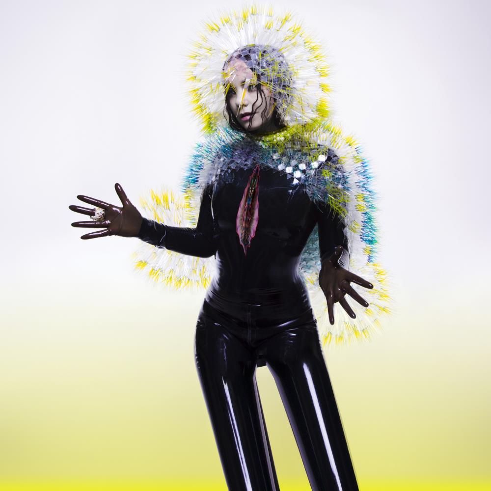 Bjrk - Vulnicura CD (album) cover