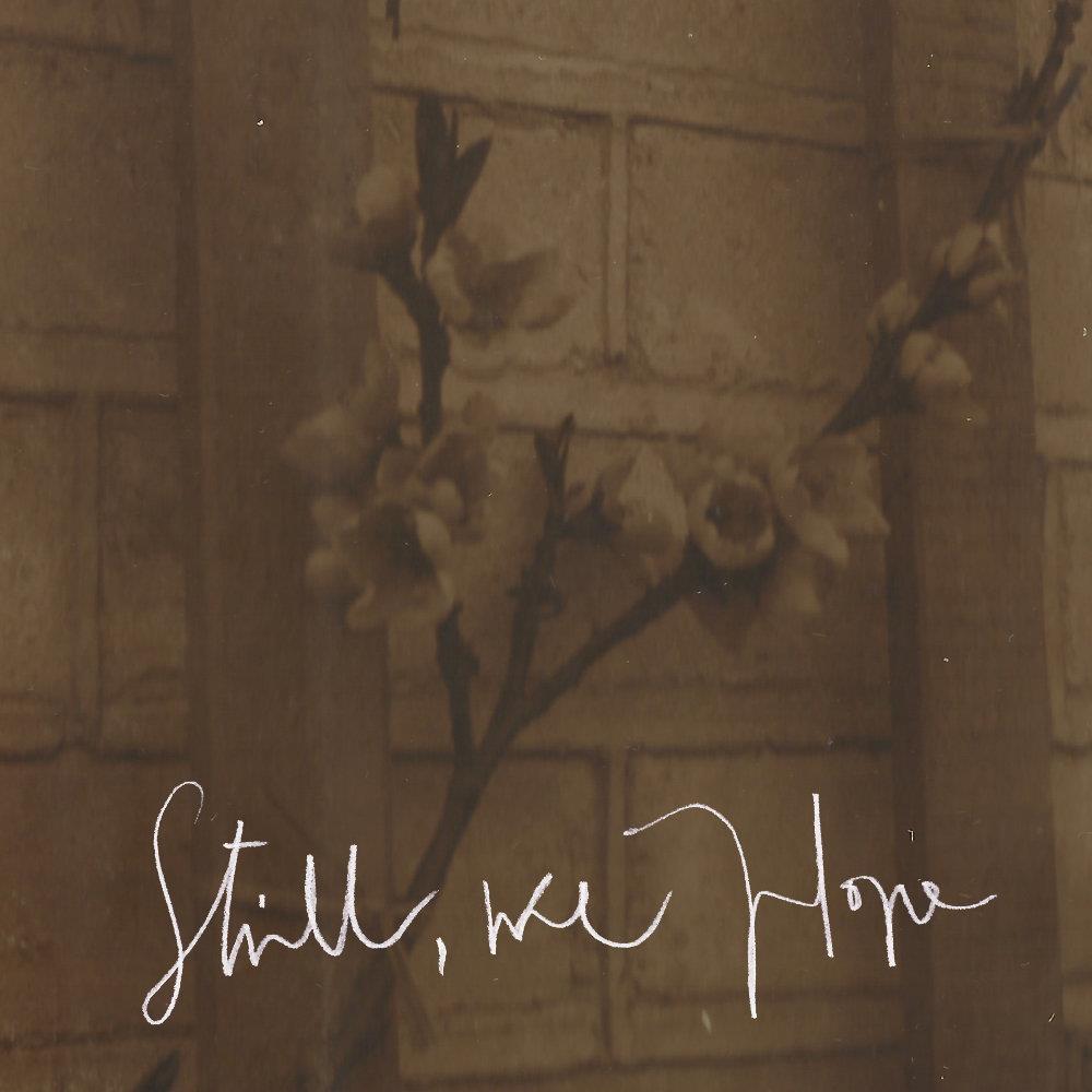 Alfheimr - Still, We Hope CD (album) cover