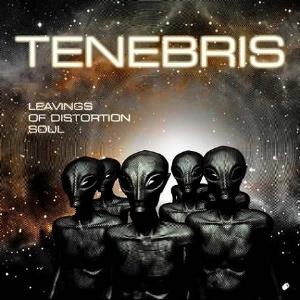 Tenebris Leavings of Distortion Soul album cover