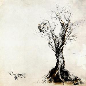 Dordeduh - Valea Omului CD (album) cover