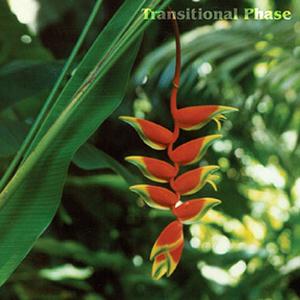 Transitional Phase - Transitional Phase CD (album) cover