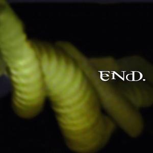 Eryn Non Dae. The Never Ending Whirl of Confusion album cover