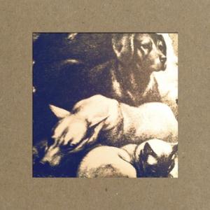 Jung People - Tenterhooks CD (album) cover